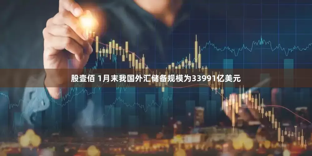 股壹佰 1月末我国外汇储备规模为33991亿美元