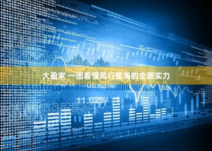 大盈家 一图看懂风行星海的全面实力